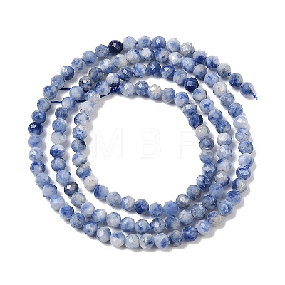 Natural Blue Spot Jasper Beads Strands G-A252-A02-02-1