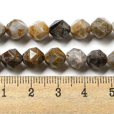 Natural Gobi Agate Beads Strands G-NH0012-B03-01-1