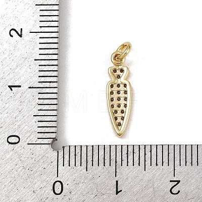Brass Micro Pave Cubic Zirconia Charms LS-KK-H077-02G-06-1