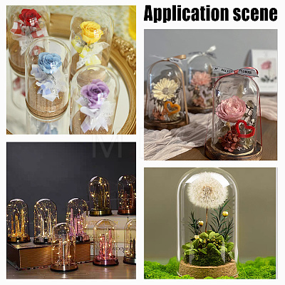  4 Sets 2 Style Transparent Glass Dome Jar Cloche Display Cases AJEW-NB0005-26-1
