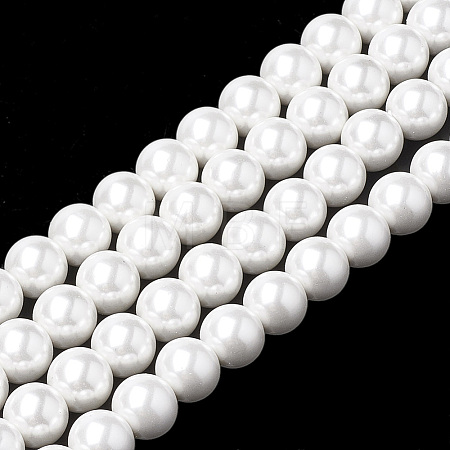 Shell Pearl Beads Strands X-BSHE-S301-10mm-04-1
