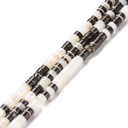 Natural Trochid Shell Beads Strands SSHEL-G023-02C-04-1