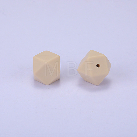 Hexagonal Silicone Focal Beads SI-JX0020A-88-1