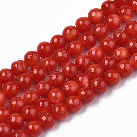 Natural Freshwater Shell Beads Strands X-SHEL-N003-24-B05-1