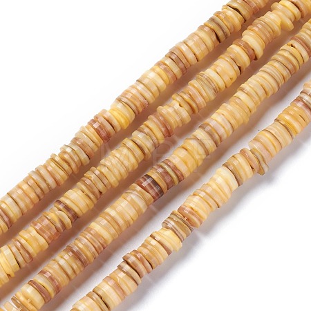 Natural Freshwater Shell Beads Strands BSHE-I016-04B-1