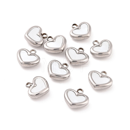 304 Stainless Steel Pendants STAS-D188-07P-1