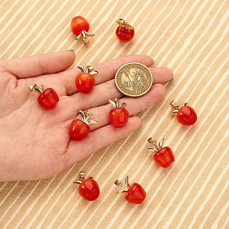 10Pcs Apple Gemstone Charm Pendant Crystal Quartz Healing Natural Stone Pendants Opal Buckle for Jewelry Necklace Earring Making Crafts JX526F-1