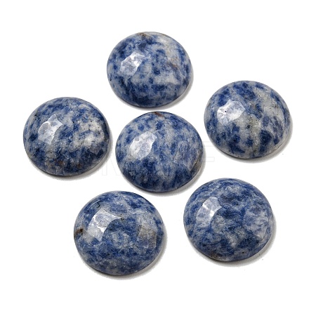 Natural Blue Spot Jasper Cabochons G-C115-02A-45-1