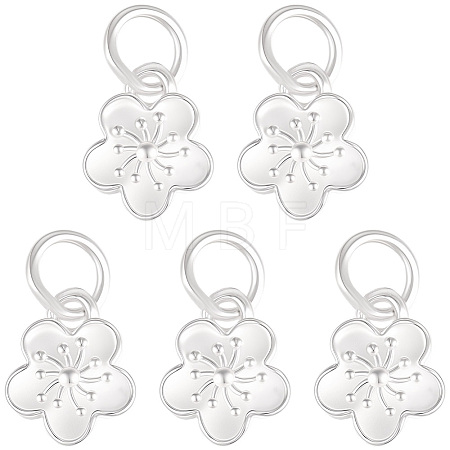 5Pcs 925 Sterling Silver Charms STER-BBC0009-44B-1
