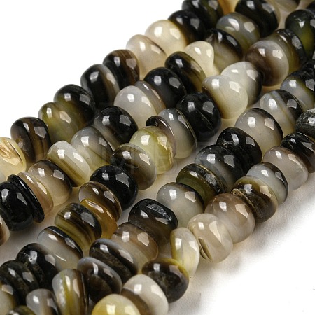 Natural Black Lip Shell Beads Strands BSHE-Z005-06-1