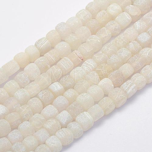 Natural Agate Beads Strands G-G705-10mm-04-1