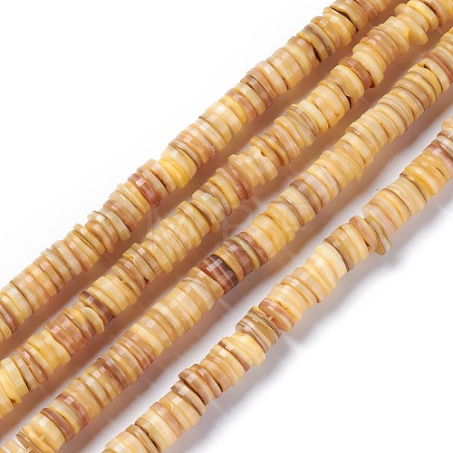 Natural Freshwater Shell Beads Strands BSHE-I016-04B-1