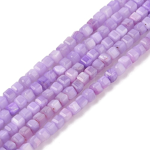 Natural Freshwater Shell Dyed Beads Strands SHEL-R100-11A-04-1