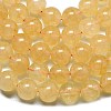 Natural Malaysia Jade Beads Strands G-L645-C01-10mm-15-4