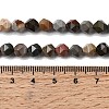 Natural Picasso Jasper Beads Strands G-Z119-A25-01-6