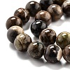 Round Natural Ocean Agate/Ocean Jasper Beads Strands G-O199-02B-3