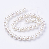 Shell Pearl Beads Strands BSHE-L035-8mm-I13-2