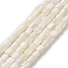 Natural Sea Shell Column Bead Strands SSHEL-M014-22-A-1