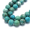 Natural HuBei Turquoise Beads Strands G-G106-C12-08-3