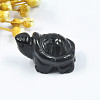 Natural Obsidian Display Decorations PW23021814169-1