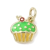 Brass Enamel Charms KK-K368-17G-02-1