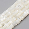 Natural Trochid Shell/Trochus Shell Beads Strands SHEL-R049-024-1