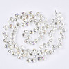 Transparent Glass Beads Strands GLAA-T006-14E-2