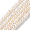 Natural Cultured Freshwater Pearl Beads Strands PEAR-I007-07K-06-2