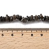 Natural Freshwater Shell Beads SHEL-B003-01J-4