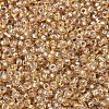 MIYUKI Round Rocailles Beads SEED-JP0008-RR1004-3