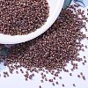 MIYUKI Delica Beads X-SEED-J020-DB1013-1