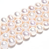 Natural Cultured Freshwater Pearl Beads Strands PEAR-N016-07B-1