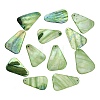 Dyed Natural Shell Pendants SHEL-C010-13C-1