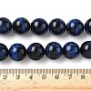 Natural Tiger Eye Bead Strands G-P230-08-B-14mm-2