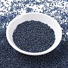 MIYUKI Round Rocailles Beads SEED-G007-RR0358-2
