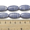 Synthetic Blue Lace Agate Beads Strands G-B071-H02-01-4