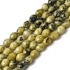 Natural Yellow Turquoise(Jasper) Beads Strands G-K376-F04-01-2