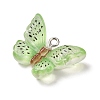 Transparent Resin Pendants LS-RE-CBA5B90-03C-2