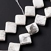 Natural Howlite Beads Strands G-L239-14-6