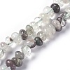 Natural Green Lodolite Quartz Beads Strands G-L493-14-1