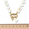 Heart Natural Freshwater Shell Beaded Necklaces with 304 Stainless Steel Screw Carabiner Lock NJEW-JN06202-4
