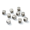 Tarnish Resistant 304 Stainless Steel European Beads STAS-H145-01T-P-2