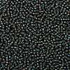 TOHO Round Seed Beads SEED-XTR08-0383-2