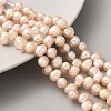 Natural Cultured Freshwater Pearl Beads Strands PEAR-A006-25A-1