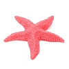 Opaque Resin Cabochons RE-CBA21C0-01D-2