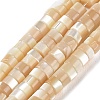 Natural Trochus Shell Beads Strands BSHE-E030-09B-02-1