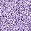 MIYUKI Delica Beads X-SEED-J020-DB0629-3