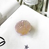 Shell Shape Cellulose Acetate Claw Hair Clips PW-WG49F1A-01-1