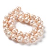 Natural Cultured Freshwater Pearl Beads Strands PEAR-E019-15-2