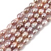 Natural Cultured Freshwater Pearl Beads Strands PEAR-I007-01B-01A-2